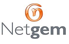 Netgem Logo Netgem Logo